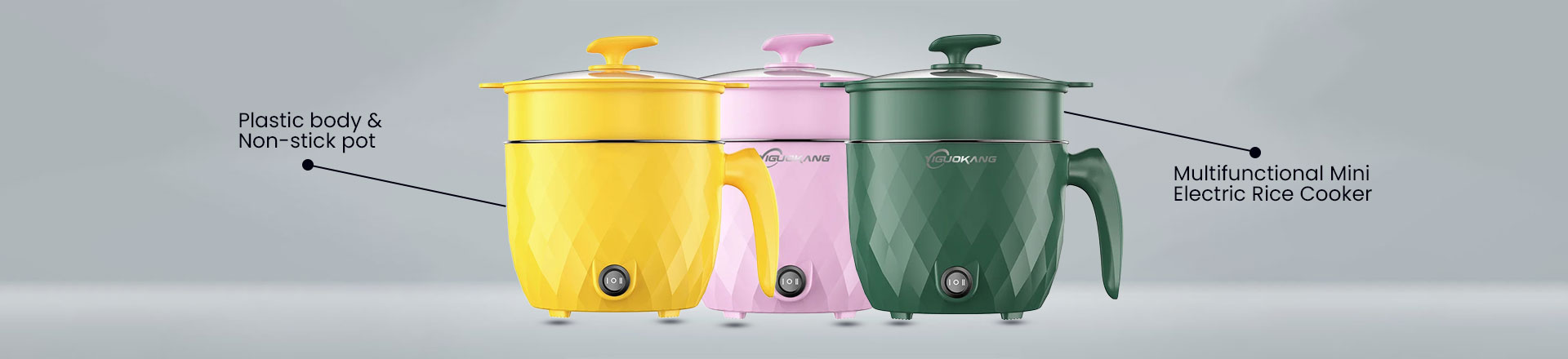 Multifunctional Cooker